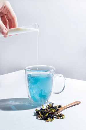Blue herbal Butterfly pea flower tea in a glass mug on white background. A female hand pours milk...