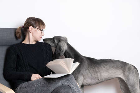 Owner and her obedient greyhound saluki dog. bottom viewの写真素材