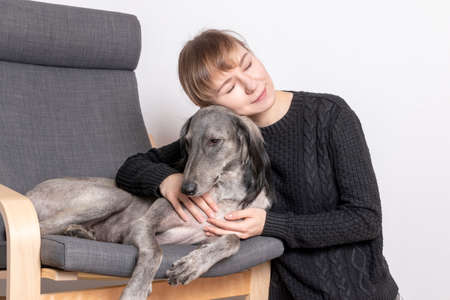 Owner and her obedient greyhound saluki dog. bottom viewの写真素材