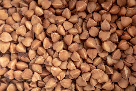 Buckwheat groats close-up, macro. Buckwheat natural pattern. Diet and healthy nutrition conceptの写真素材