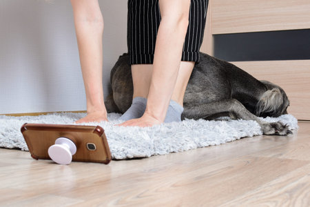 Young white woman doing stretching online at home on a rug. A gray greyhound dog is resting on a...