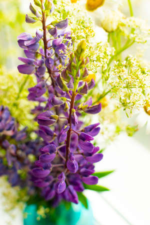 Meadow bouquet of purple flowers and daisies in a blue vase on the window on a bright sunny day. Close-upの写真素材