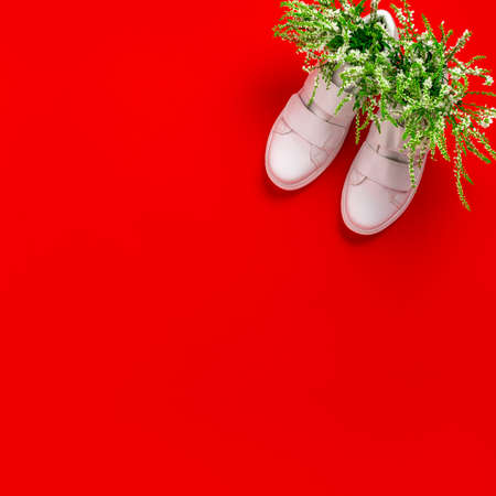 White sneakers with wildflowers on a red background. Flat lay. Flowers stand in shoes like in a vase. Summer, sports concept.の写真素材