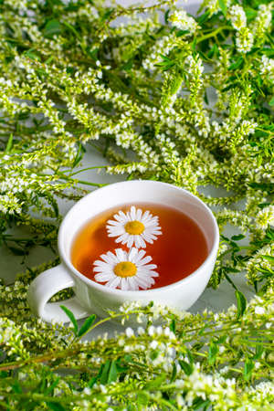 A cup of fragrant chamomile tea on a background decorated with juicy green wildflowers. Two daisies are in the tea. Refreshing summer compositionの写真素材