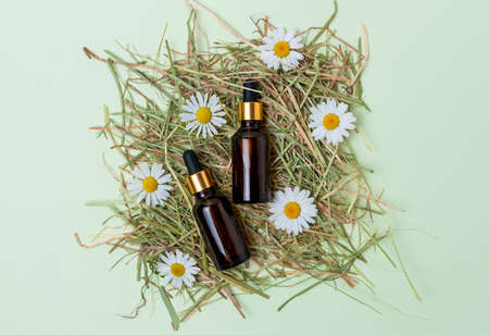 Flat lay of cosmetic glass brown bottles with dropper and chamomile flowers on hay on mint backgroundの写真素材