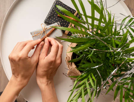 Holiday concept: female hand on tree background puts on the white table box gift. Top viewの写真素材