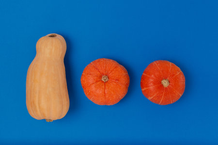 Flat lay of three pumpkins of different types on a blue background. Bright contrasting colors....