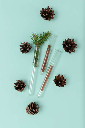 Christmas composition of glass test tubes, fir cones and cinnamon on a mint background. Top view, flat lay. Medical New Year conceptの写真素材