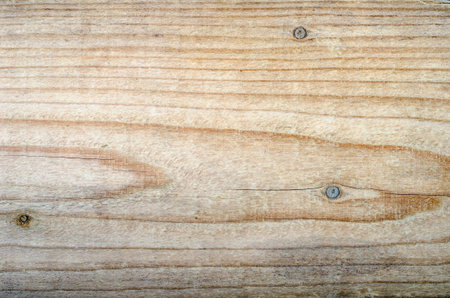 Texture of fresh wood background