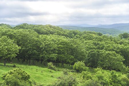Forest landscape and low mountains. A view of the Strandja Nature Reserve.の写真素材