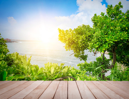 Seascape. Empty wooden platform and bright sun on a background of the sea through the green branches of trees.の写真素材