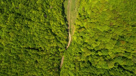 Forest and road aerial view.の写真素材