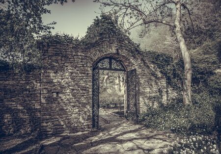 Old abandoned mystical ruins.の写真素材
