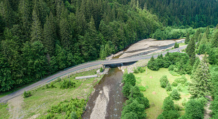 Forest and river from a birds eye view. Photo from the drone.