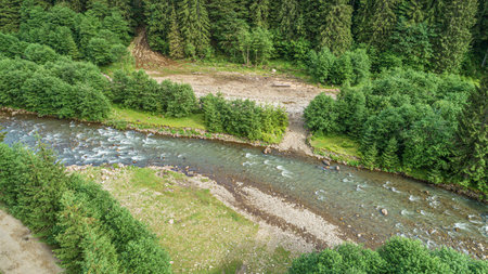 Forest and river from a birds eye view. Photo from the drone.