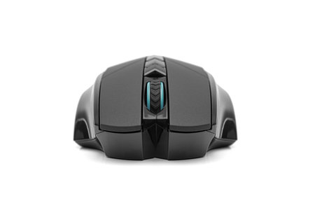 Computer mouse isolated on white background