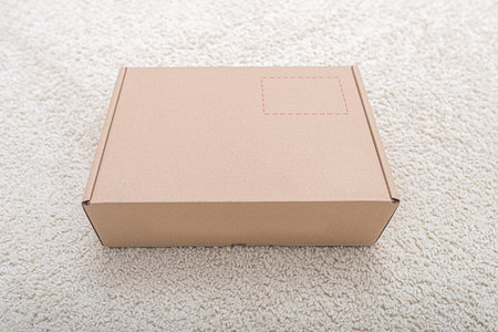 Cardboard Mailbox is on the couch in the room.
