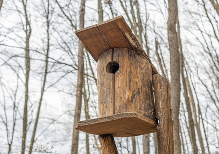 Birdhouse for birds in the forest.