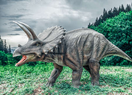 Dinosaur in the jungle.の写真素材