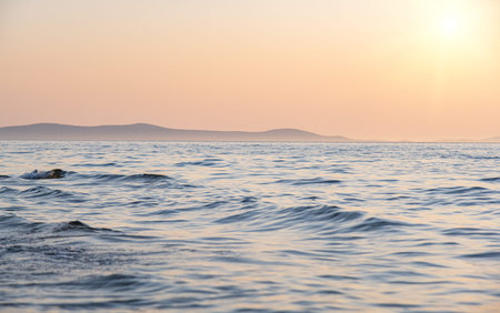 Beautiful sunset above the sea.