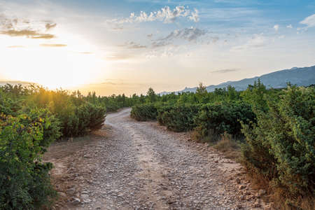 Picturesque dirt road against the backdrop of sunset and mountains. Croatia.の写真素材