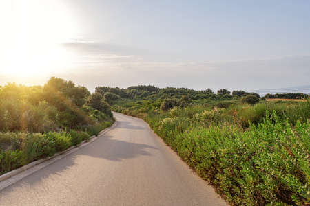 Scenic road. Road is surrounded by a magnificent natural landscape.の写真素材