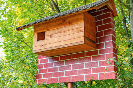 Feeder for birds in the forest.の写真素材