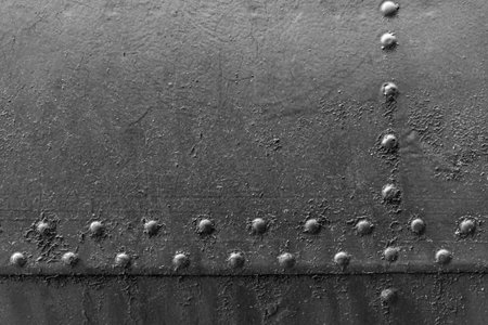 Old metal door on rivets