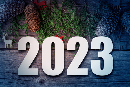 New Years still life 2023.