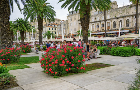The embankment of the resort town of Split in summer.のeditorial素材