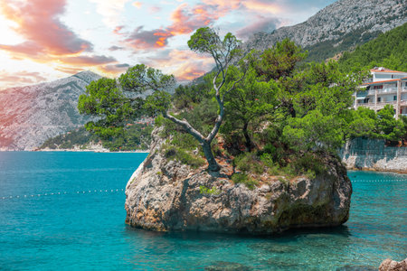 Beach and boats on the Adriatic coast. Croatia.の写真素材