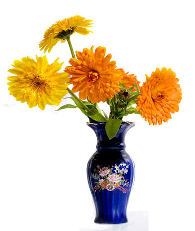 Small yellow bouquet of a calendula in a dark blue vase の写真素材