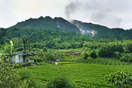 Mount Sibayak  in North Sumatera. Indonesia 