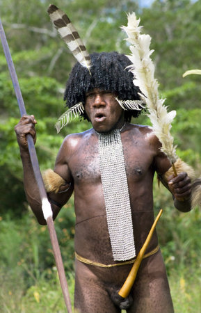 NEW GUINEA, INDONESIA -DECEMBER 28: The warrior of a Papuan tribe in traditional clothes and...