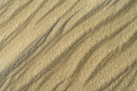 Simple  sand texture. 