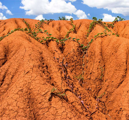 background with soil erosion の写真素材
