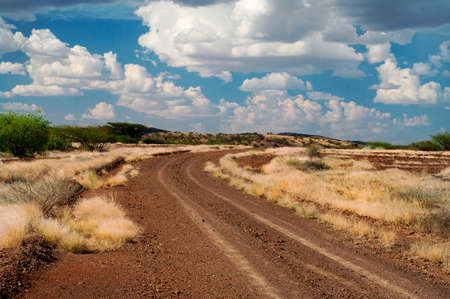 The road in the African savannah の写真素材