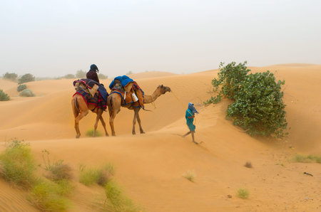 Camel caravan going through the desert , Indiaの写真素材