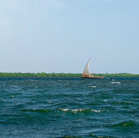 Traditional  Boat sails in Lamu, Kenyaの写真素材
