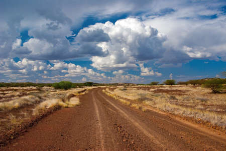 The road in the African savannah の写真素材