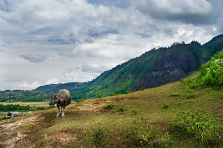 Landscape of Island Samosir, Lake Toba. Sumatra, Indonesiaの写真素材