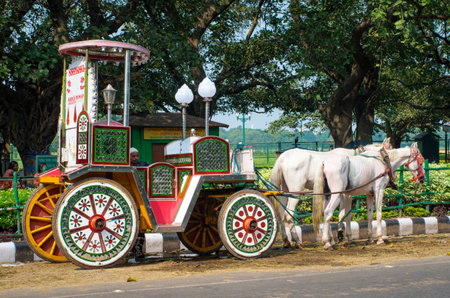 KOLKATA, INDIA - OCT 06:Horses harnessed to the carriage wait for tourist on the street on October 06, 2014 in Kolkata, India.のeditorial素材