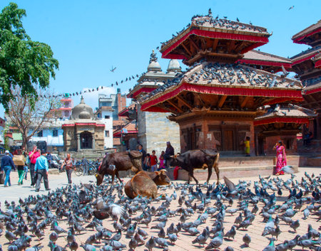 KathKATHMANDU, NEPAL - APRIL 4, 2014: People near temples on Durbar square, Kathmandu, Nepal.mandu's Durbar Square, Nepalのeditorial素材