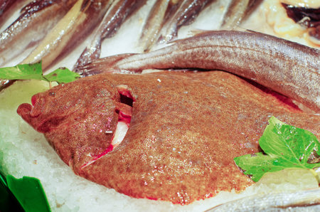 fresh fish at  La Boqueria market in Barcelona