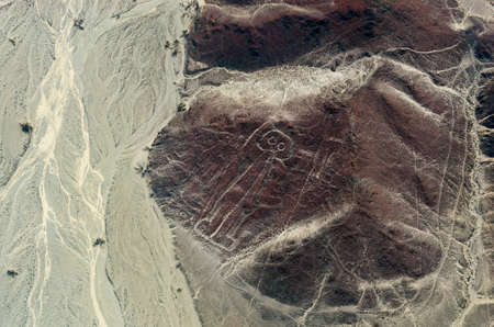 Geoglyphs and lines in the Nazca desert. の写真素材