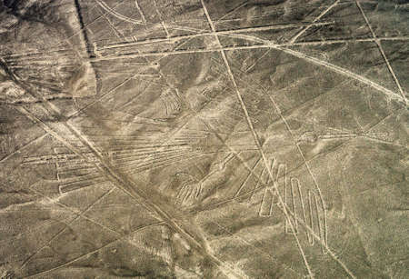 Geoglyphs and lines in the Nazca desert. の写真素材