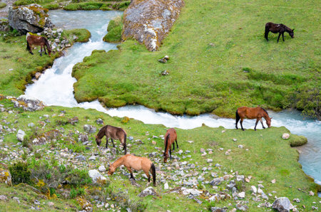 landscape in Andes.  Salkantay Trekking, Peru.