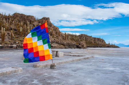 Incahuasi island in Salar de Uyuni, Boliviaの写真素材