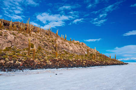 Incahuasi island in Salar de Uyuni, Boliviaの写真素材