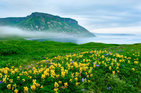 landscape at Paramushir Island, Kuril Islands, Russiaの写真素材